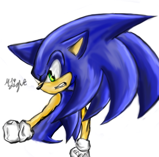 Sonic the hedgehog Colored