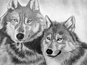 Wolves