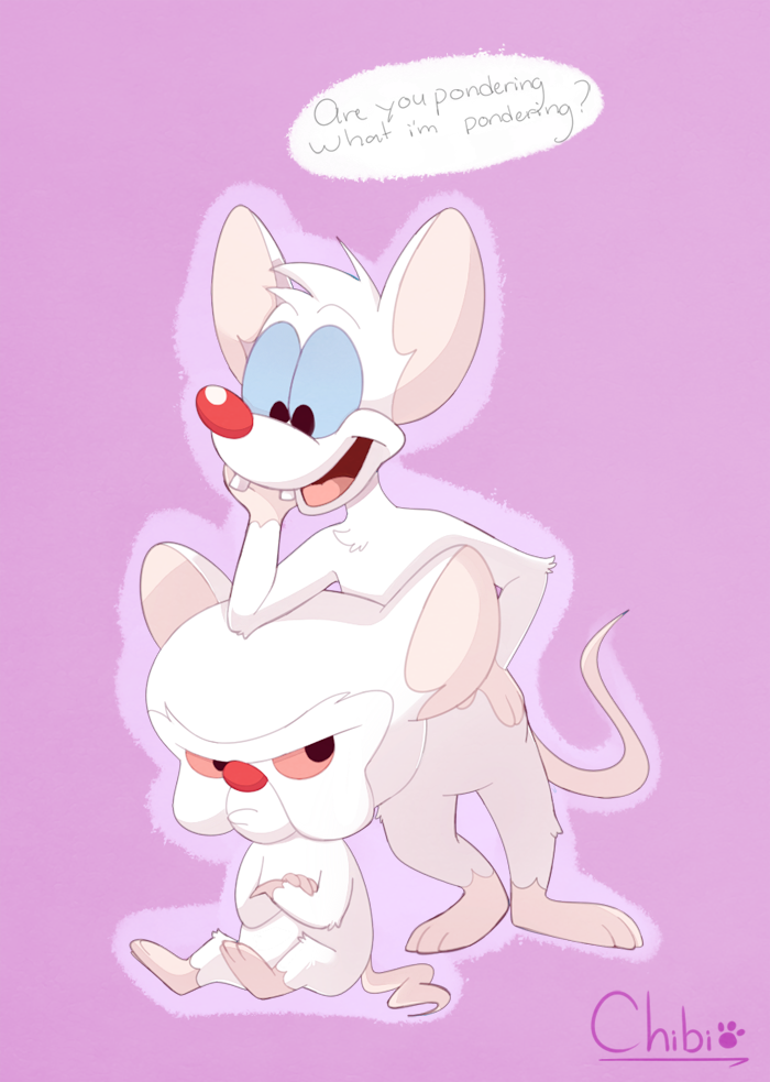 Pinky and the Brain