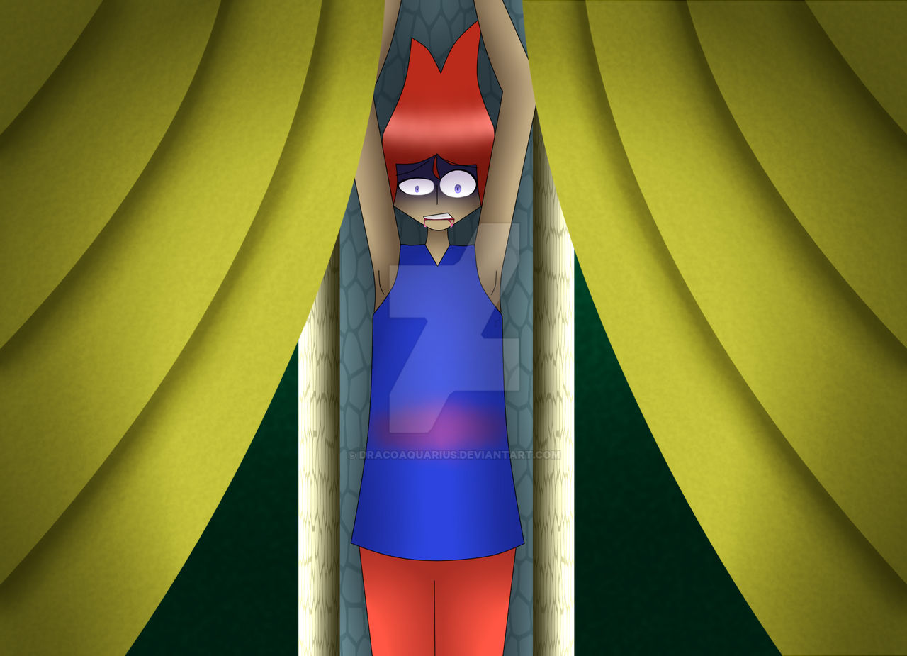 Acrobat Deviantart Acrobat Last Show by DracoAquarius on DeviantArt