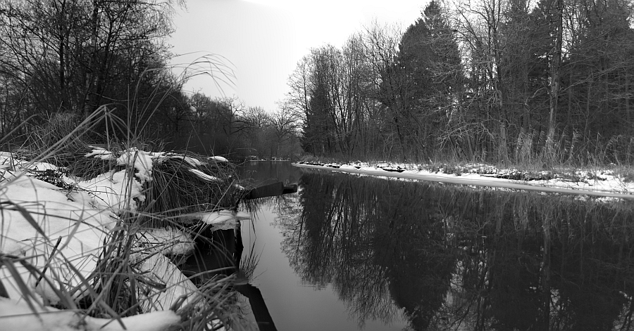 Panorama Creek canal