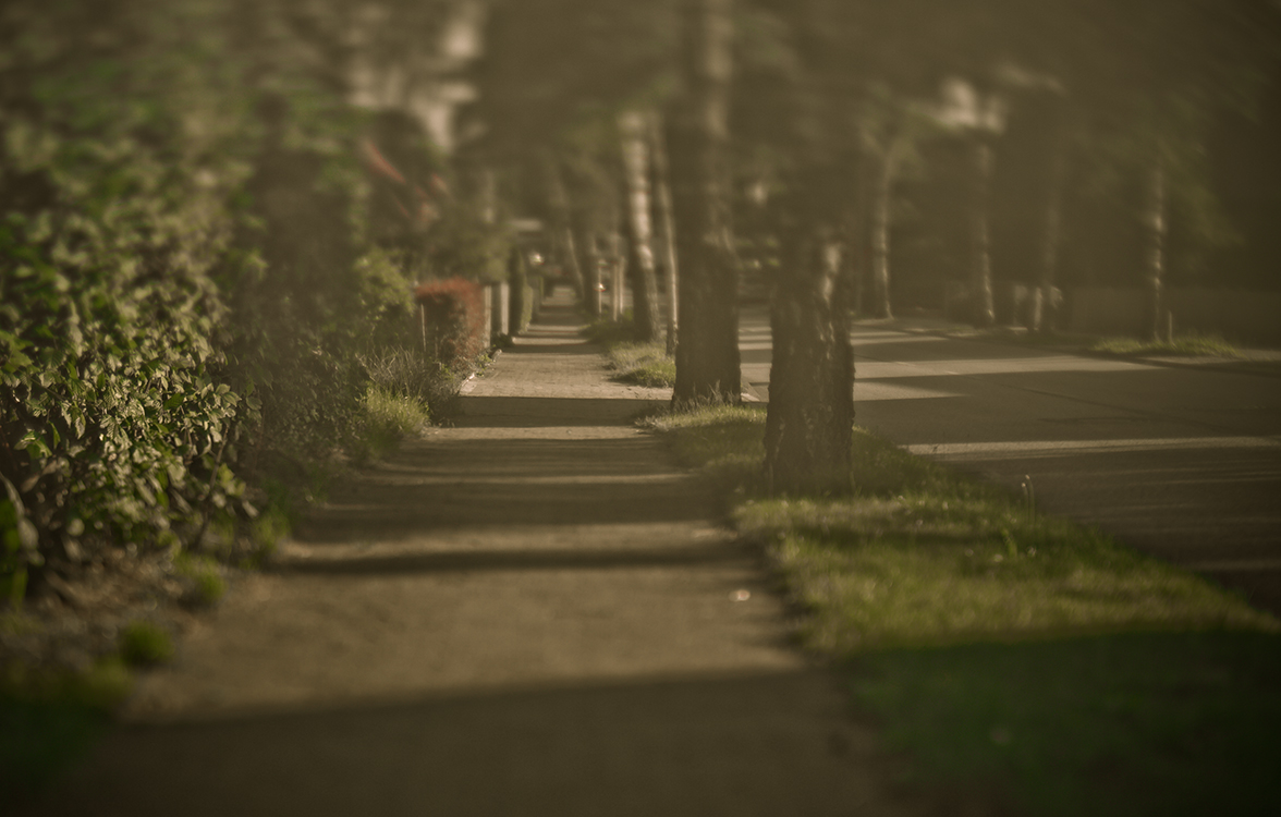 Tilt Shift Test