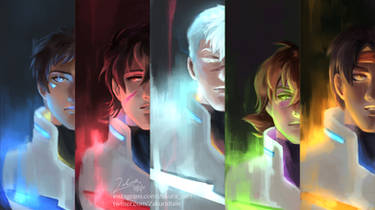 Five Paladins of Voltron