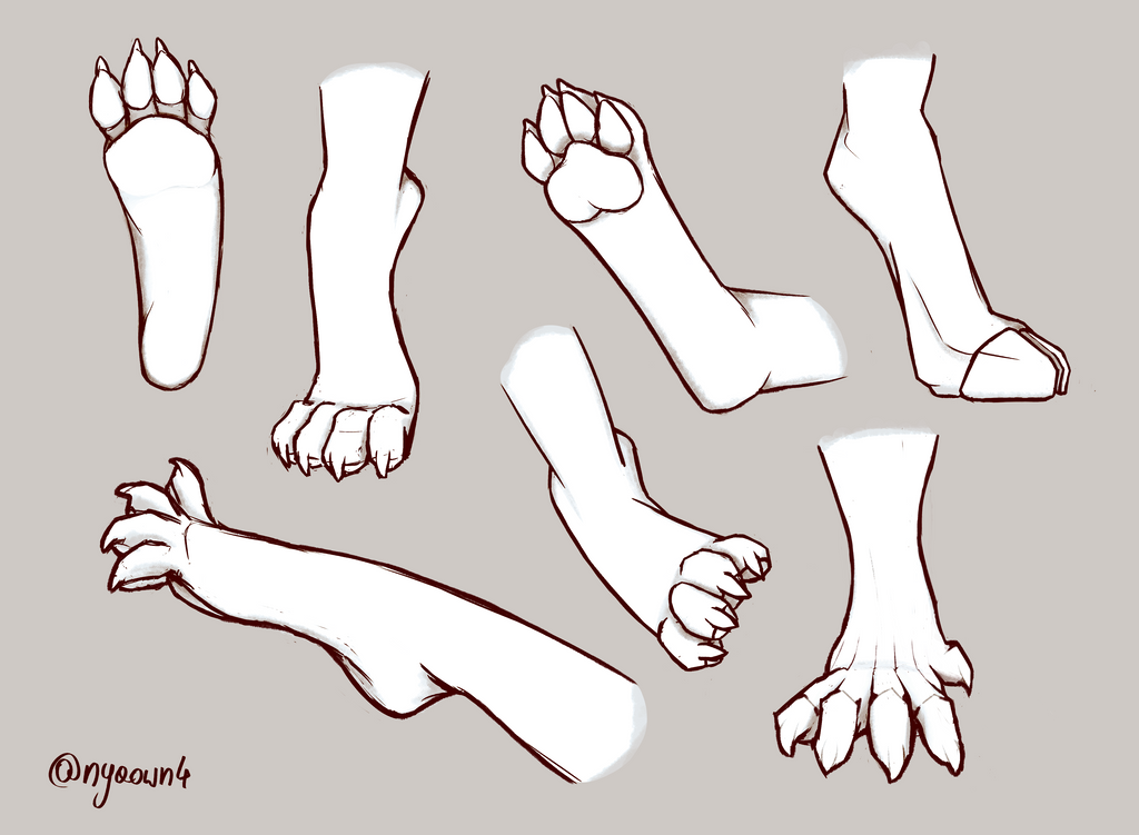 anthro feet study by nyaown4 on DeviantArt