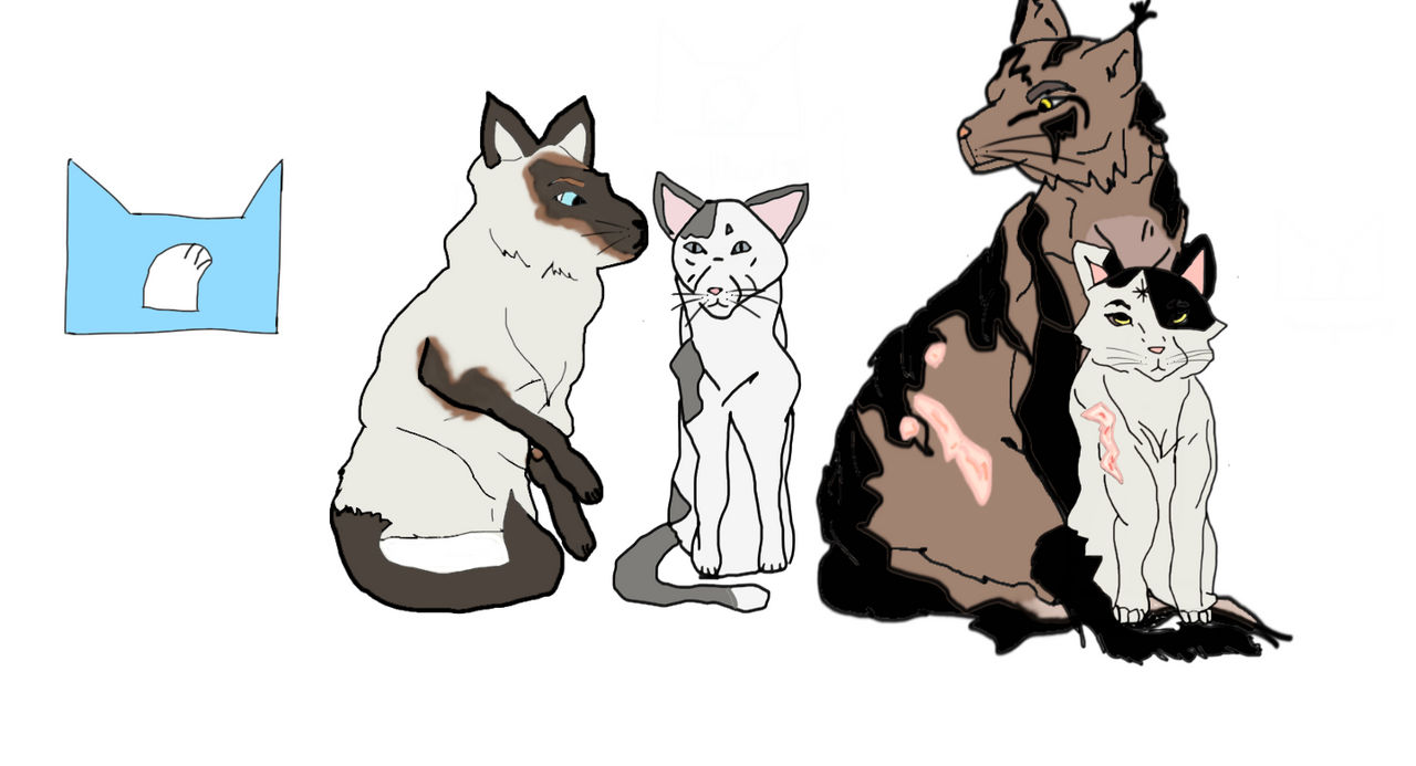 High Ranks SC Profile by Oliviaowleyes on DeviantArt