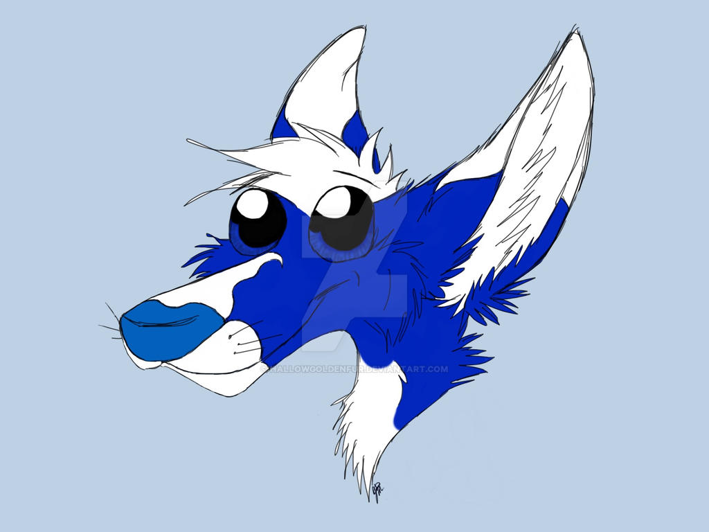 Pocari Roo Characters Pocari Roo Arts! by Hallowgoldenfur on DeviantArt