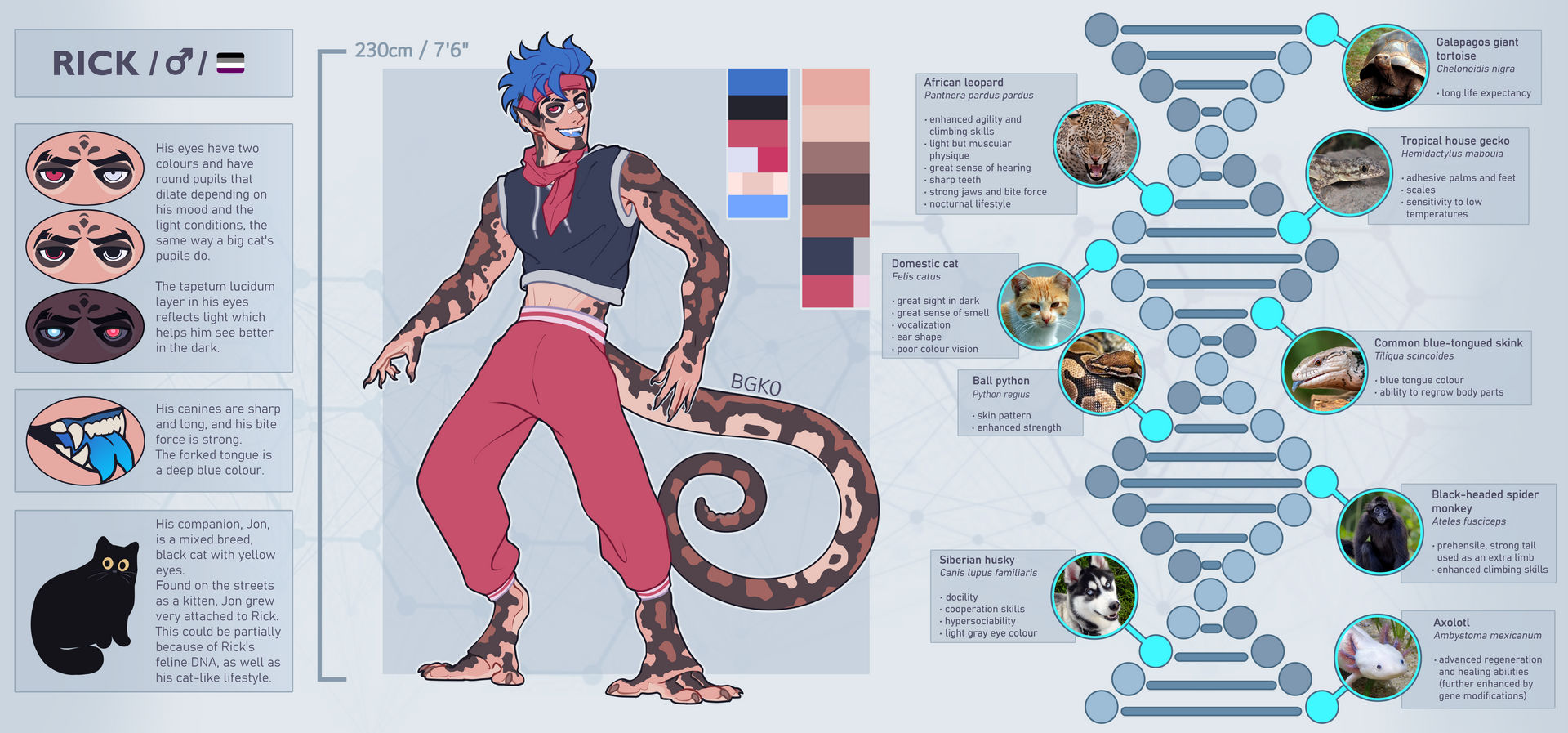 Rick Rig Sheet Rick reference sheet -2023- by bluegekk0 on DeviantArt