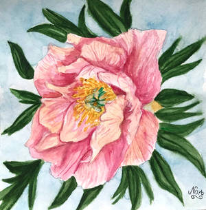 Peony 2.0