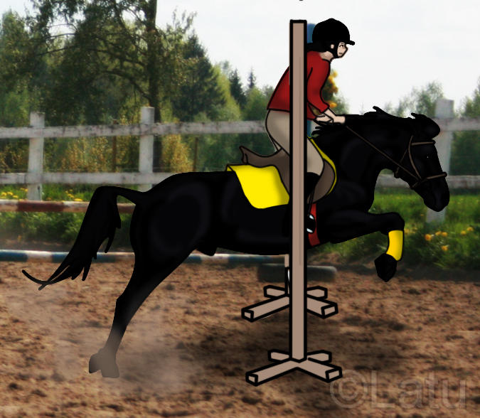 Deviantart Animal Jumping Jumping by Latu on DeviantArt