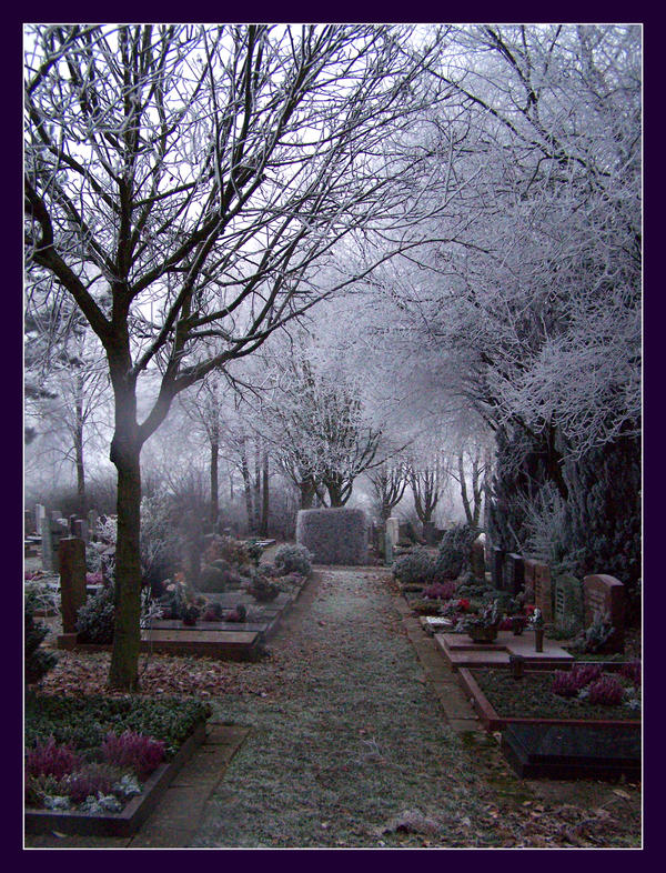 Frozen Graveyard