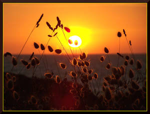 Coucher de soleil a la cote