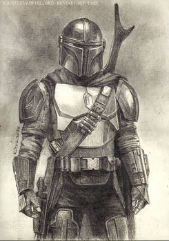 Bounty hunter