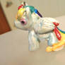 Rainbow Dash test pony other side