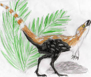 Sinosauropteryx prima