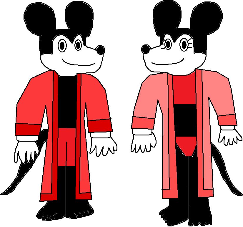 Mickey and Minnie Swimming Robes