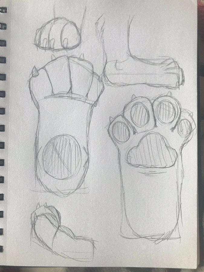 Paw Art Example Paw Sketches by J-Tigris on DeviantArt