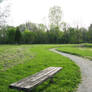 Park Bench 2