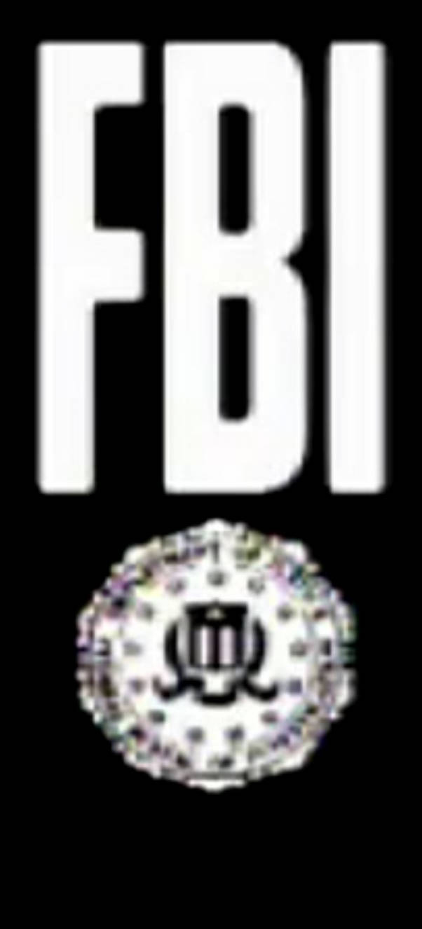 FBI letters and seal #2 by brandondavis50096 on DeviantArt