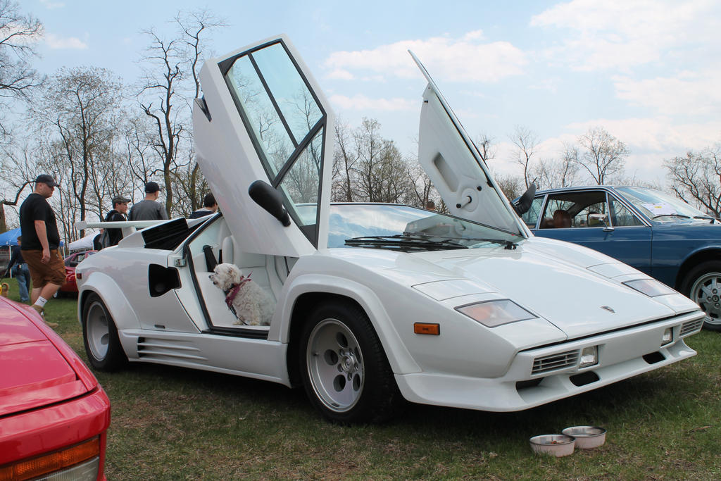 How Much For The Puppy In The Lambo?