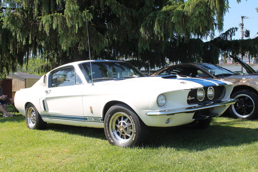 '67 Shelby - This Car Rips!