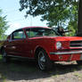 Red Fastback