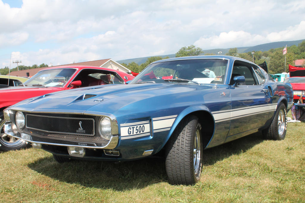 Shelby 'Stang