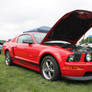 Red Looks Good Even On A Cloudy Day