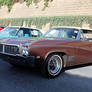 Chocolate-Colored Buick