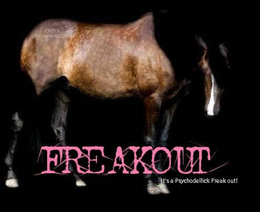 FREAKOUT