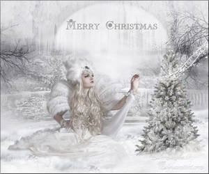 Merry Christmas 2012