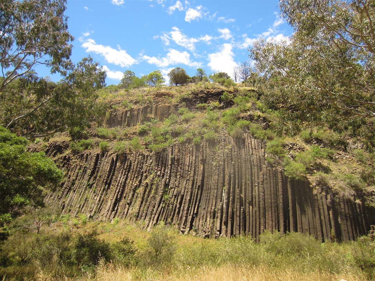 organ pipes