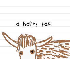 mr h.airy yak