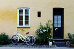 Copenhagen Bike by lenopard