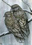 Snow Crows by LisaCrowBurke