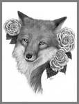 Red Fox White Rose - pencil by LisaCrowBurke