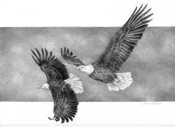 Soaring Eagles by LisaCrowBurke