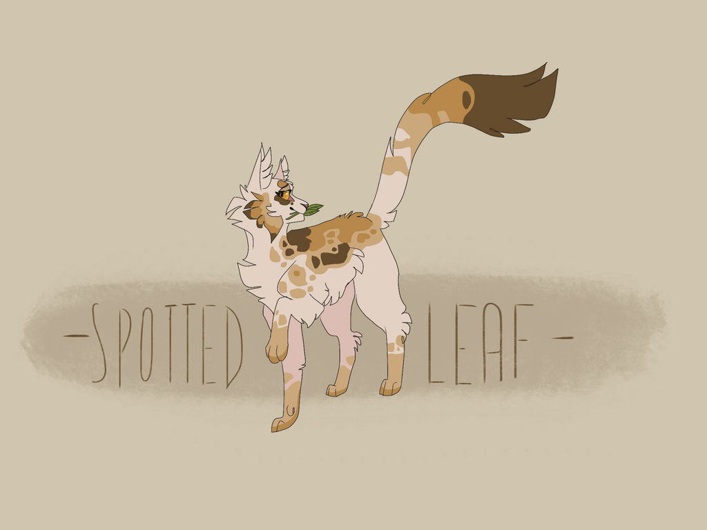 Spotledleaf Spottedleaf by AzulMagpie on DeviantArt