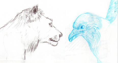 lion and raptor