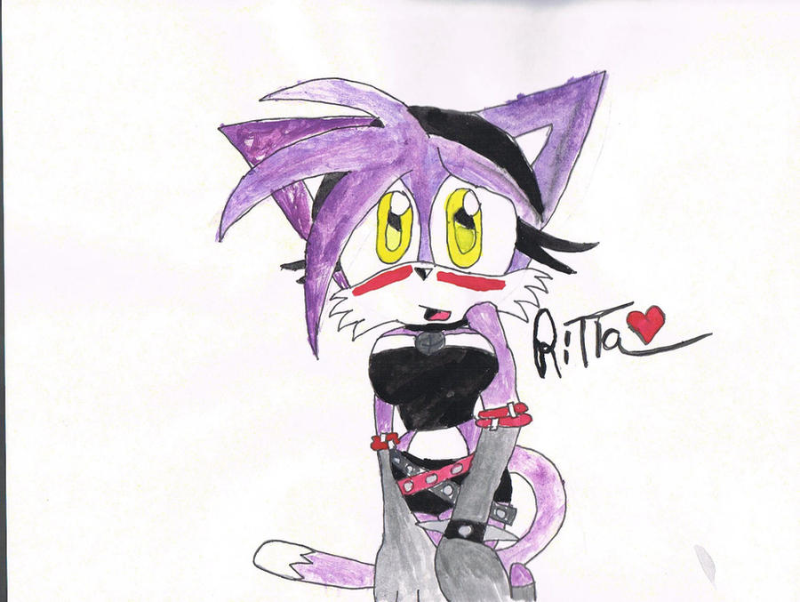 W Ritta Ritta the Cat by ShawnieThaHedgebat on DeviantArt