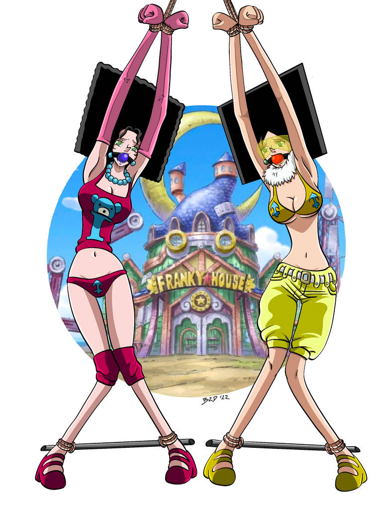 One Piece Water Seven Mozu and Kiwi by bound2draw on DeviantArt