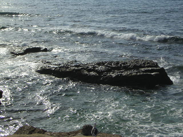 Ocean Rocks