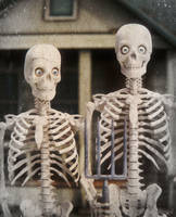 Skeleton gothic...