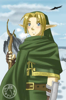 Zelda: Never Ending Quest