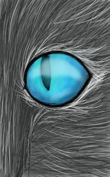 Cat eye