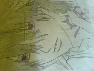 Zero-Vampire knight