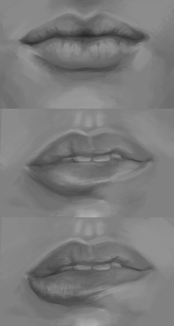 Lip Study