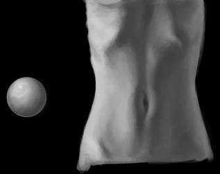 Torso Study