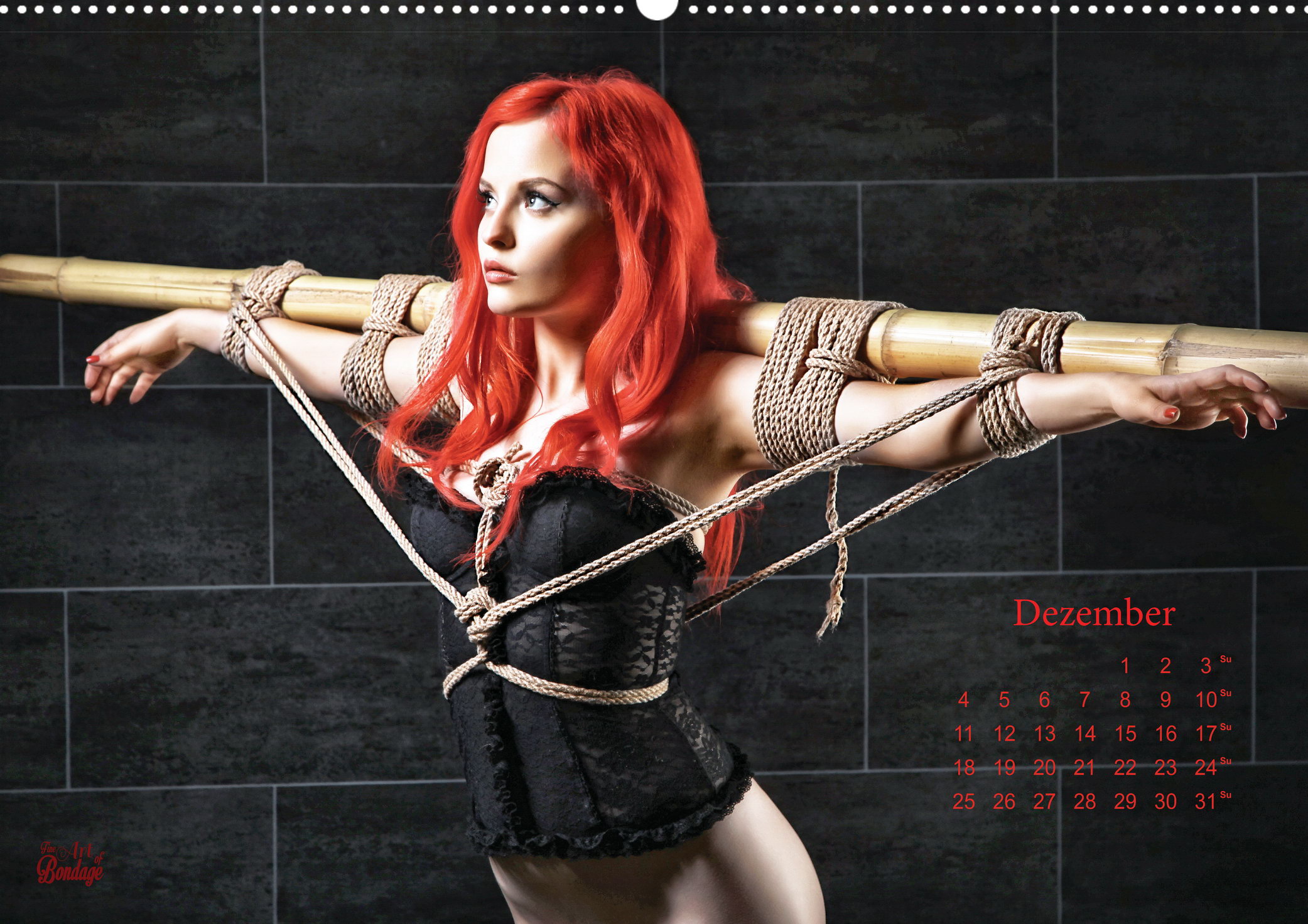 Beauty of Rope II - Fine Art of Bondage - Calendar by Model-Space on