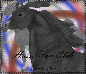 Horse-Fan-Club Banner