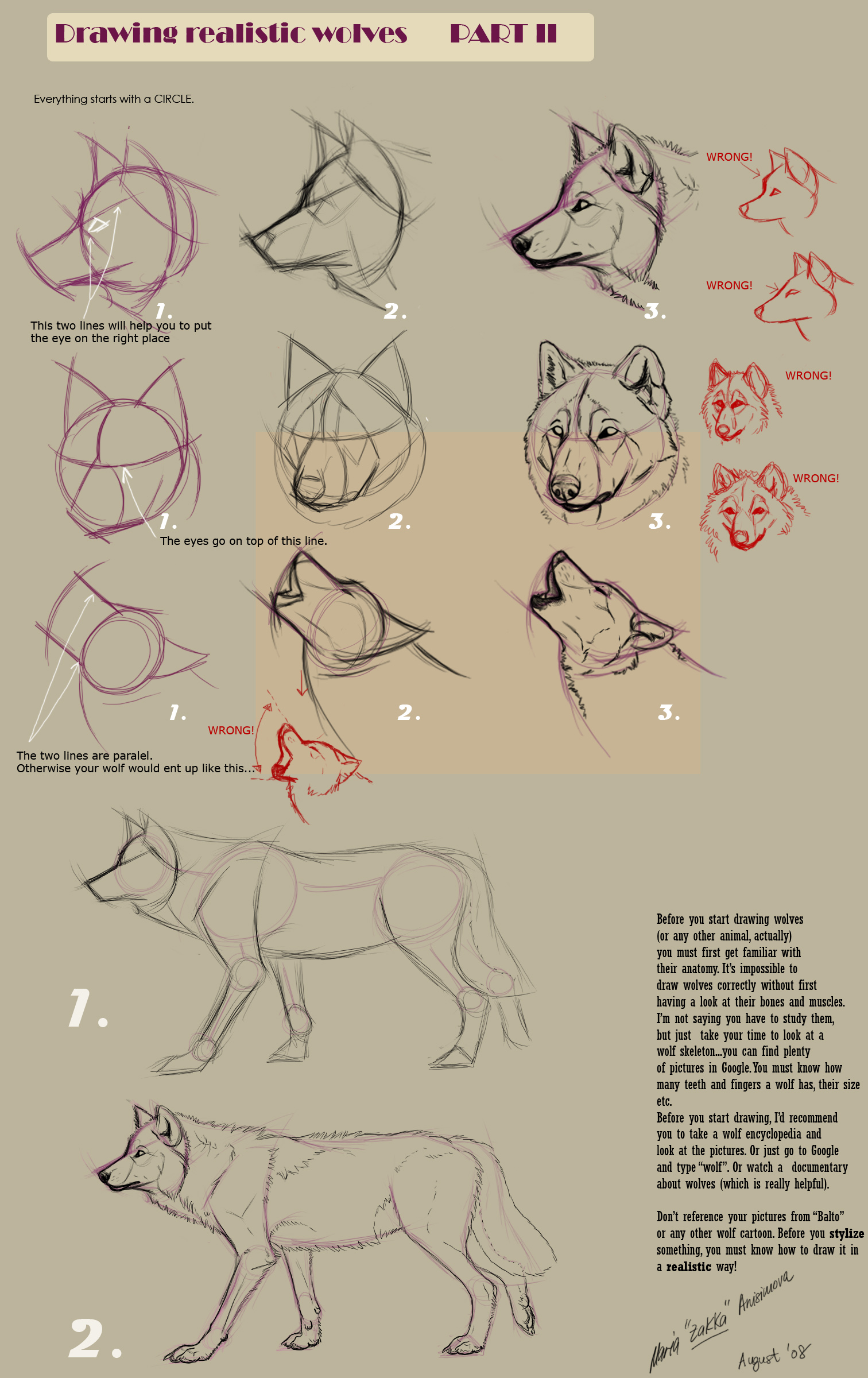 Drawing realistic wolves II